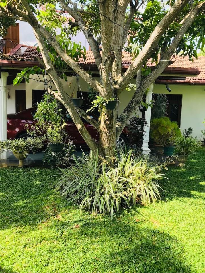 House Of Seya Acomodação com café da manhã Negombo Exterior foto